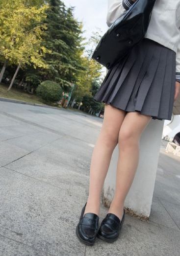 仓鼠管家_国语版全集