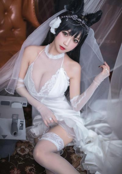 《精英律师》第二部_DVD最新电影在线观看