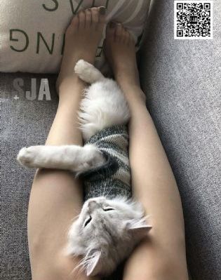 致命温柔在线观看完整_1080完整视频观看
