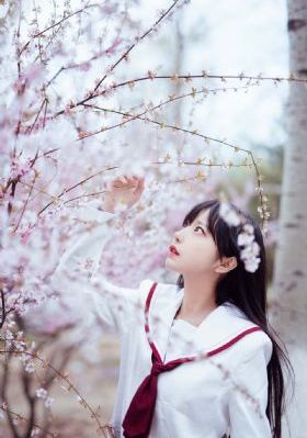 医生5_BD英语在线观看电视
